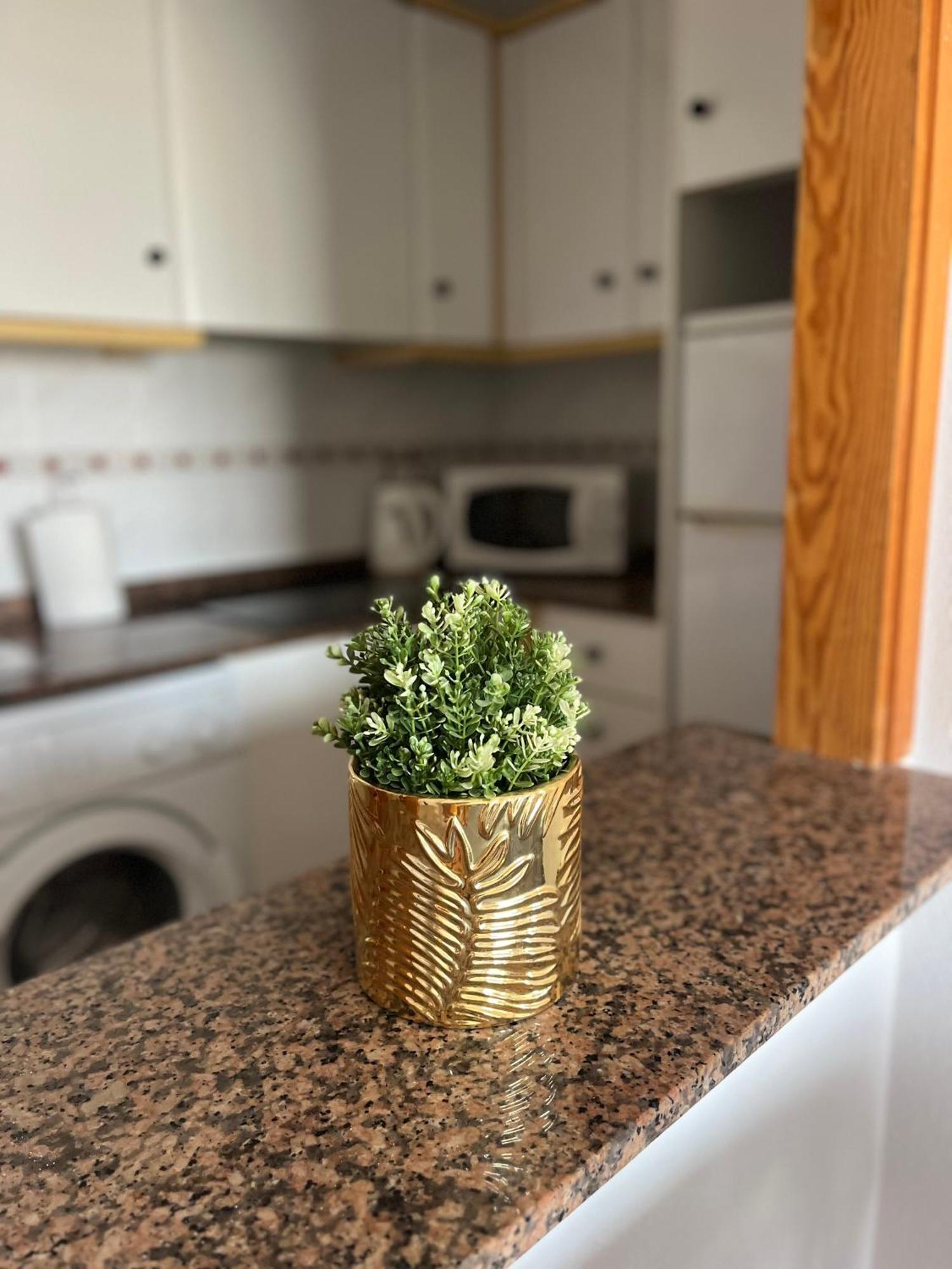 Apartmán Sea Viev La Mata Torrevieja Exteriér fotografie