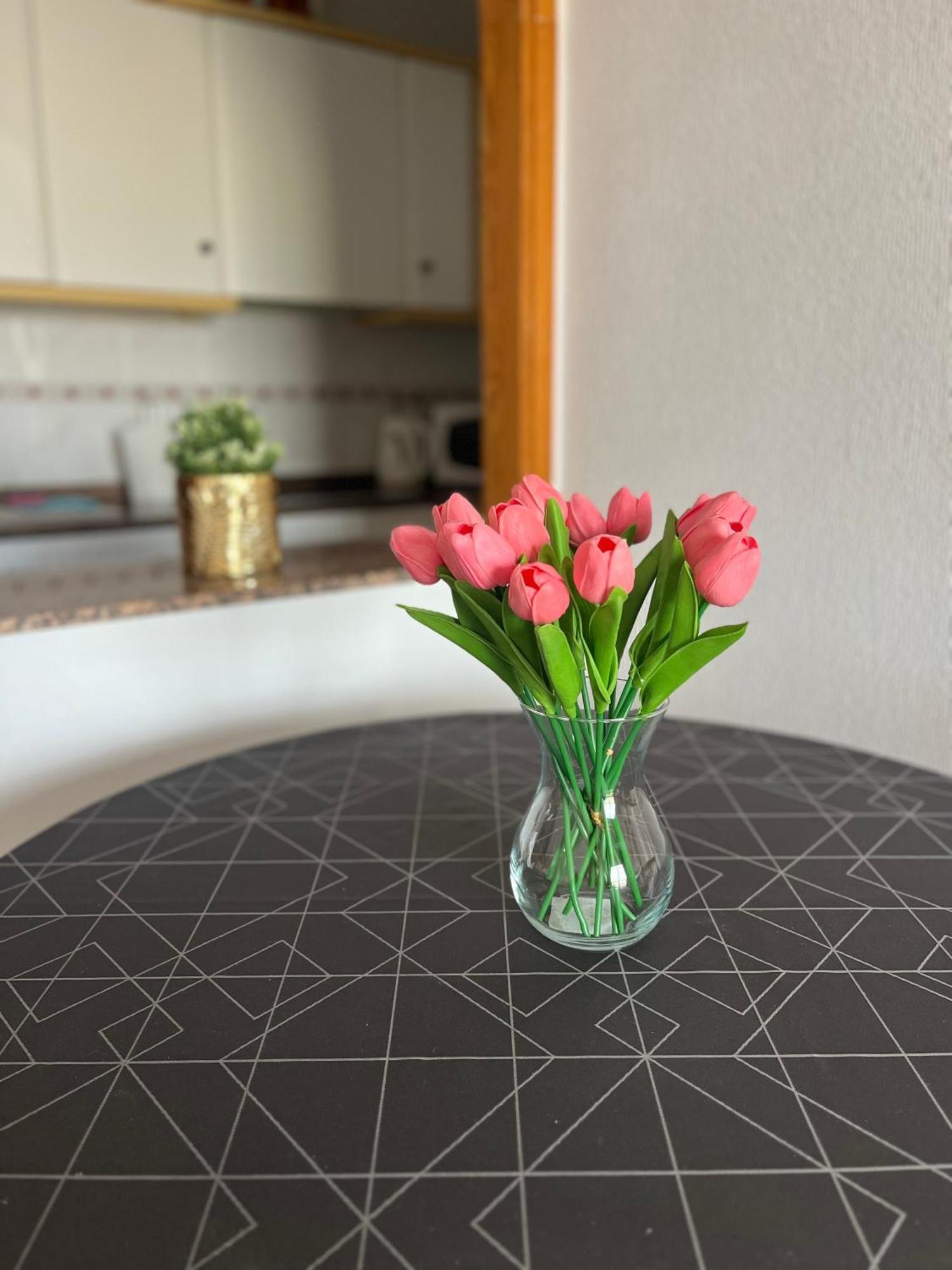 Apartmán Sea Viev La Mata Torrevieja Exteriér fotografie